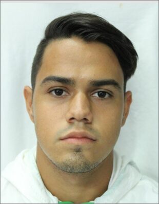 LUIS ORTEGA