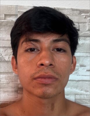 ANDRES HERNANDEZ